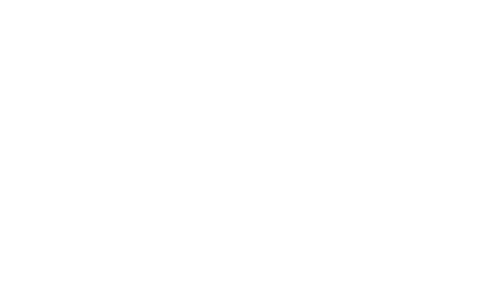 BK Flight Simulators - FNPT II MCC Manufacturer